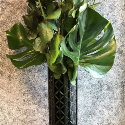 création, ©meylan fleurs