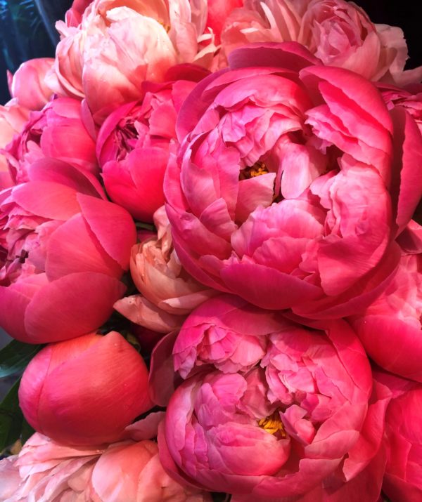 création, ©meylan fleurs